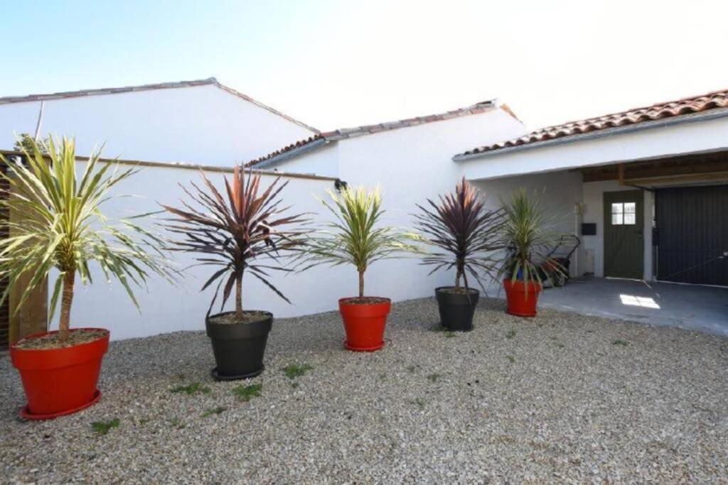 Villa L'Oiseliere ------- Nul Part Ailleurs Loix Exterior foto